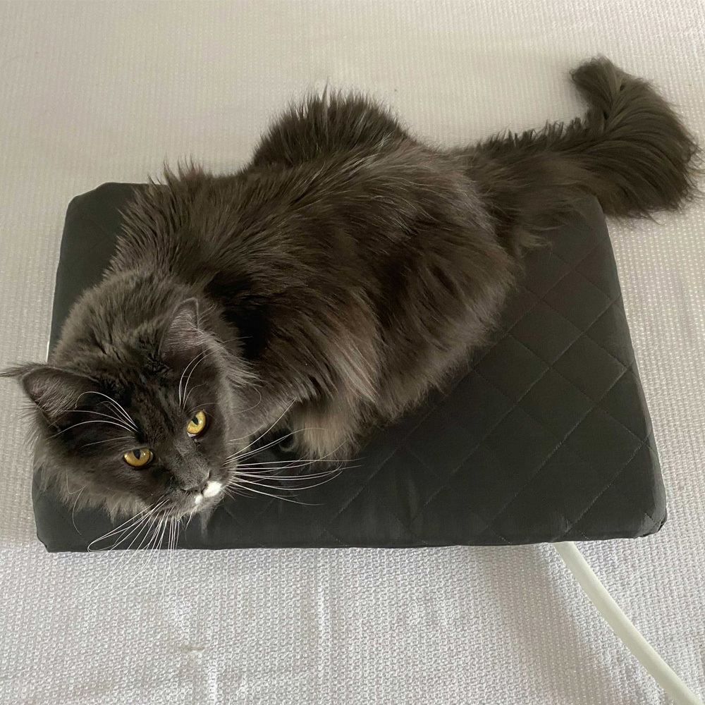 MagnaWave-greypetmat-cat